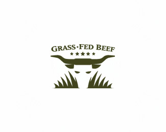 Grass-Fed Beef _V3