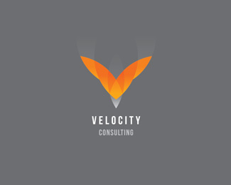 Velocity Consulting
