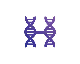 H DNA