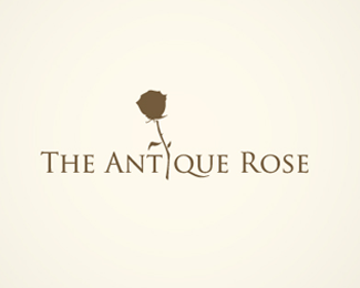 The Antique Rose