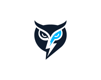 Owl Power Logo