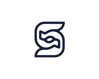 Modern Letter S Logo