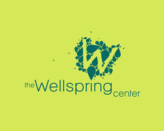 The Wellsprings Center