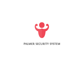 palmer security system