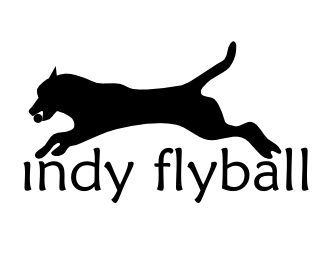 flyball1