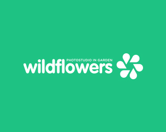 Wildflowers | photostudio in garden