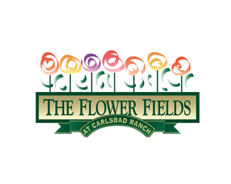 Carlsbad Flower Fields