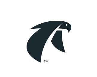 Hawk Symbol