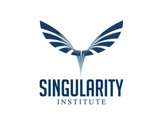 Singularity institute