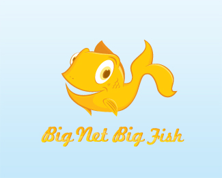 Big Net Big Fish