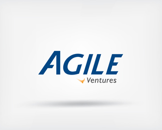 Agile Ventures