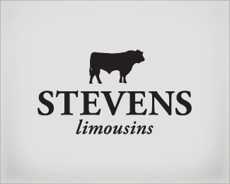 Stevens Limousins