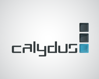 Calydus Web Solutions