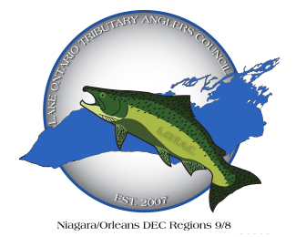 Lake Ontario Tributary Anglers Council - Chinook