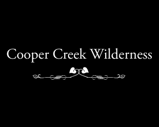 Cooper Creek Wilderness