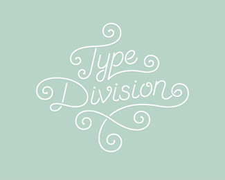 Type Division