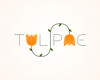 Tulipae