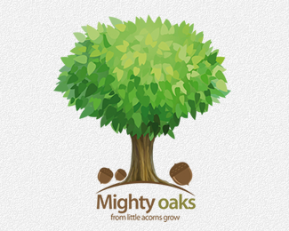 Mighty Oaks from little acorns grow
